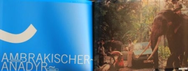 Grieger "25 000 000 Golf" Volkswagen Rabbit History 2007 (8535)